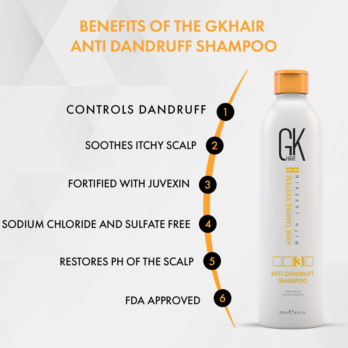 GK Hair Anti Dandruff Shampoo 250 ml